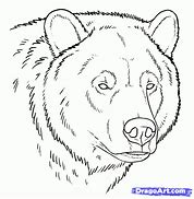 Image result for bear face sketch