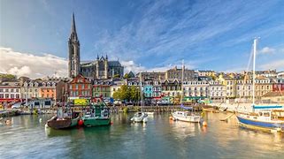 Image result for cork