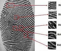 Image result for Fingerprint Diagram