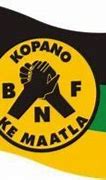 Image result for Botswana National Front Logo