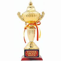 Image result for Cricket Tournament Trophy