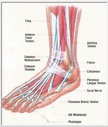 Image result for Feet Front View