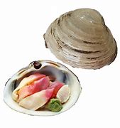 Image result for Hokki Surf Clam