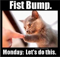 Image result for Cute Cat Monday Meme