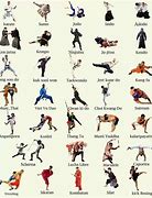 Image result for Best Martial Arts to Learn at Home