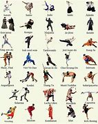 Image result for Karate Fighting Styles