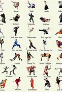 Image result for List of Karate Kicks