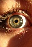 Image result for pictures of eyes