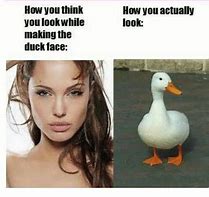 Image result for Funny Duck Face Meme
