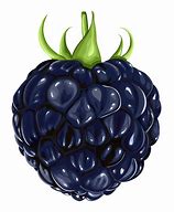 Image result for Light Purple BlackBerry