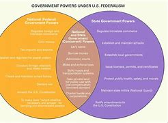 Image result for Differences Between Local and National Elections