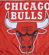 Image result for Chicago Bulls Banner