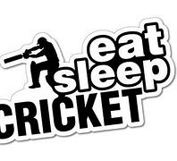 Image result for New Berry Cricket Bat Stickers