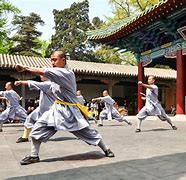 Image result for Chinese Kung Fu Art