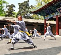 Image result for Ancient Kung Fu Fighter