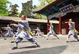 Image result for Kung Fu Training Art