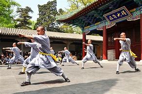 Image result for Chinese Martial Arts