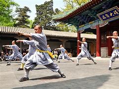 Image result for Chinese Martial Arts Red Brushstroke