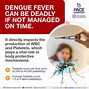 Image result for Dengue HD