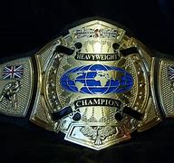 Image result for Custom Made Wrestling Belts