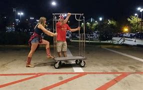 Image result for Crazy Cart Lady