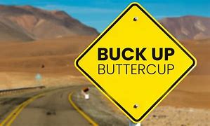 Image result for Buck Up File