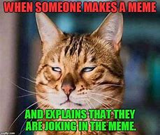 Image result for Smart Alec Cat Memes