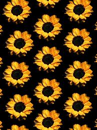 Image result for Cute Flower iPhone Wallpapers