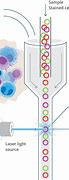 Image result for Flow Cytometry