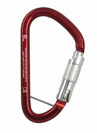 Image result for Key Lock Carabiner