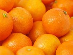 Image result for oranges fruits