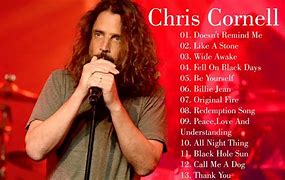 Image result for Best of Chris Cornell