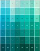 Image result for Ihpone 15 Colors