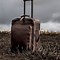 Image result for Leather Luggage Bags