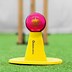 Image result for Cricket Training Sign