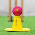 Image result for Cricket Near Me