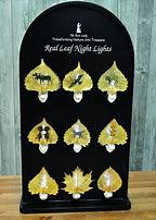 Image result for Night Light Display