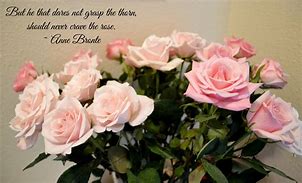 Image result for Pink Rose Quotes