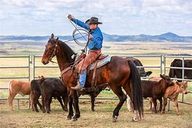 Image result for What Is a Cowboy