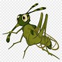 Image result for Cricket Insect Stock Images Outline