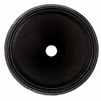 Image result for How to Clean Speaker Cone