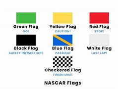 Image result for NASCAR Flags