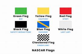 Image result for nascar flags images