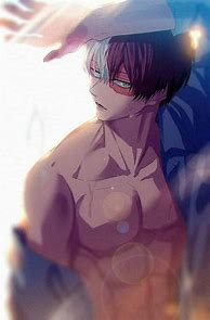 Image result for Todoroki ABS