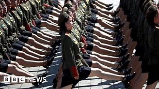 Image result for North Korean Parade Their Arms