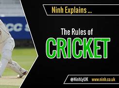 Image result for Rules of the Games of Cricket Games