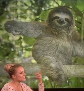 Image result for Bell Sloth