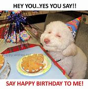 Image result for Happy Birthday to Me Meme