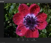 Image result for Adobe Photoshop Express Editor