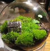 Image result for Fake Diaroma Moss